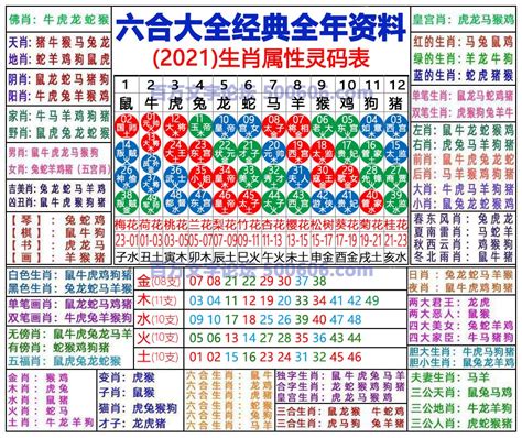 甲辰年生肖|2024甲辰年12生肖运程